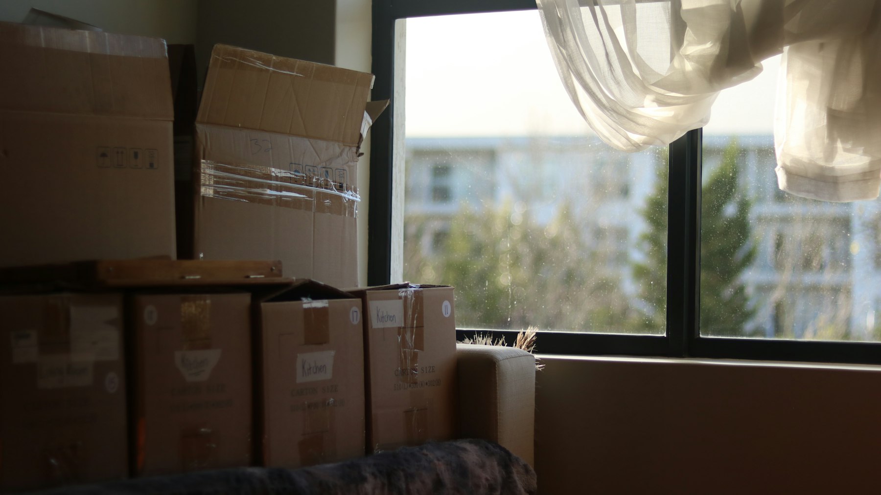 Packed moving boxes stacked beside a sunlit window with a sheer curtain during a home move
