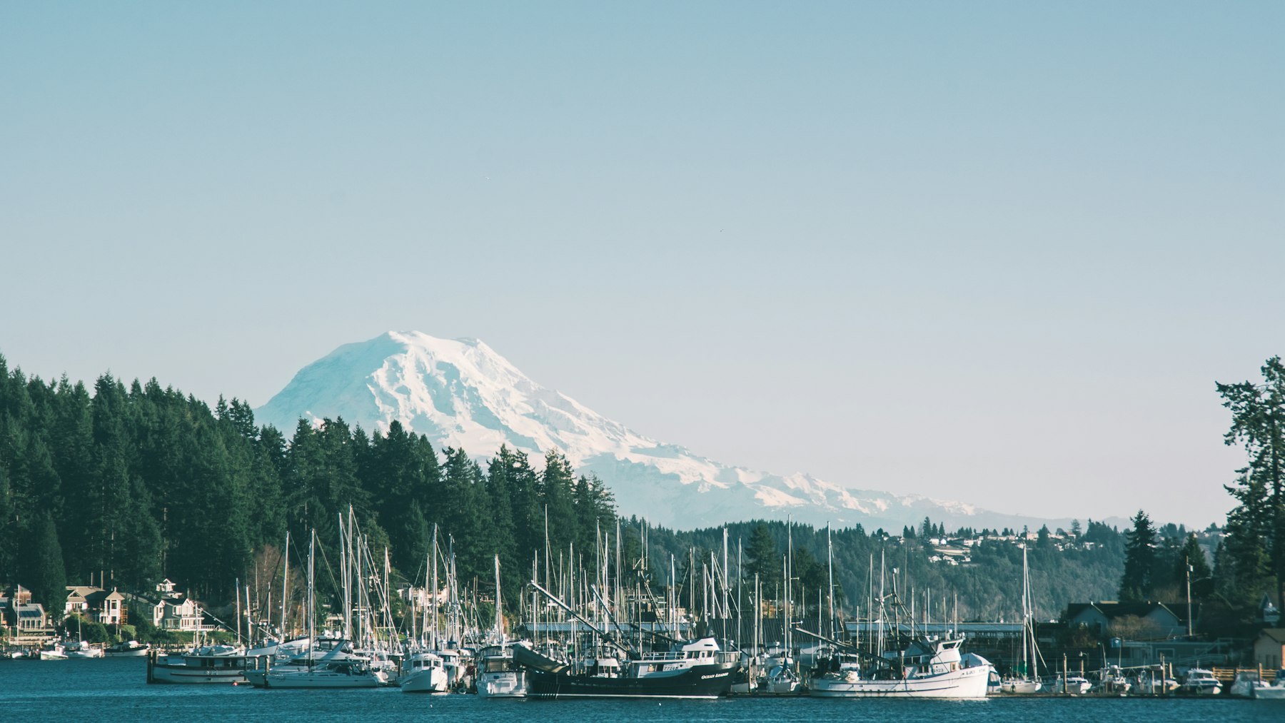 Sailboats in the Gig Harbor marina with evergreen shoreline and snow-covered Mount Rainier in the distance
