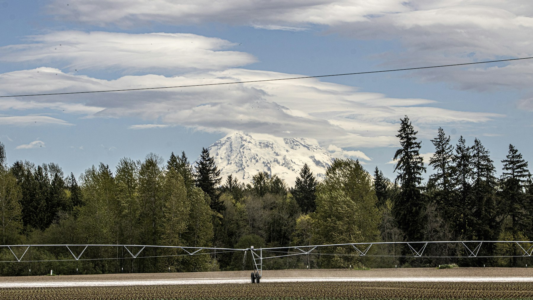Snow-covered Mount Rainier rising above a line of evergreen trees under a partly cloudy sky